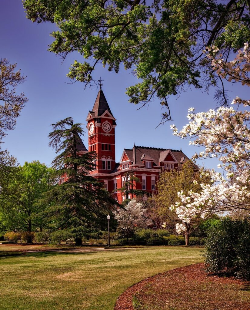 Cheapest Accredited Online Universities in the USA (2026 Guide)